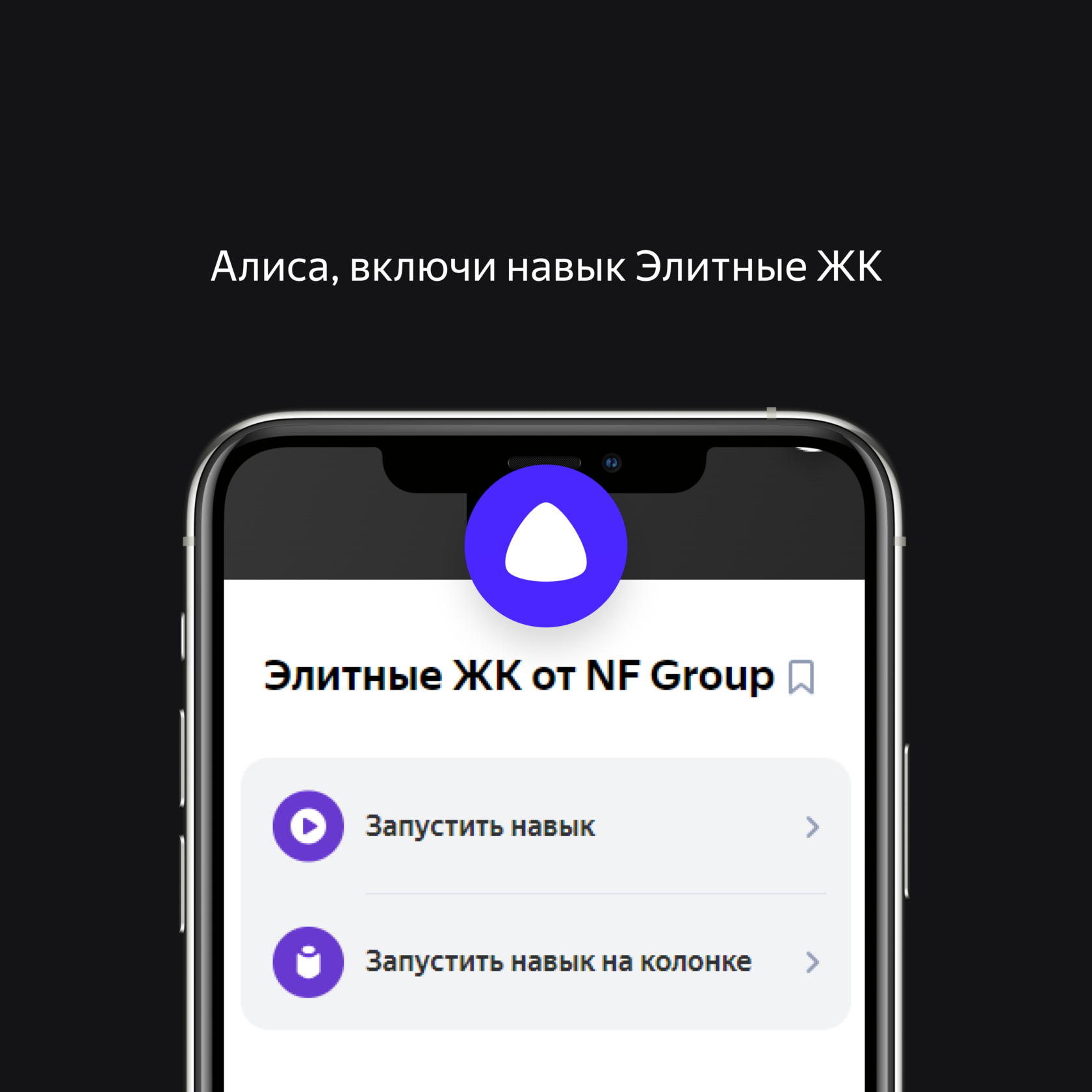 Кейсы NF Digital